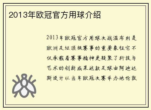 2013年欧冠官方用球介绍